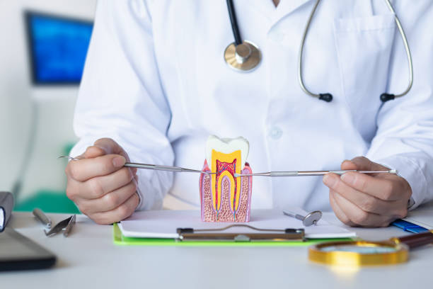Best Emergency Pediatric Dental Care in Channahon, IL